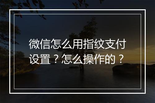 微信怎么用指纹支付设置?怎么操作的?