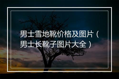 男士雪地靴价格及图片(男士长靴子图片大全)