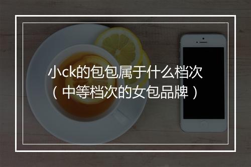 小ck的包包属于什么档次(中等档次的女包品牌)