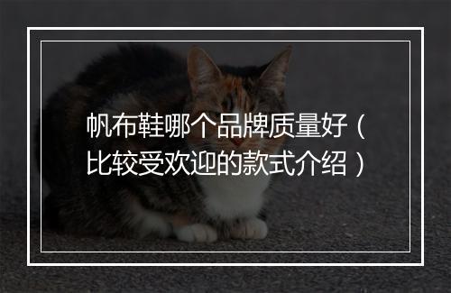 帆布鞋哪个品牌质量好(比较受欢迎的款式介绍)