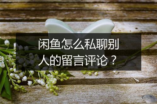 闲鱼怎么私聊别人的留言评论?