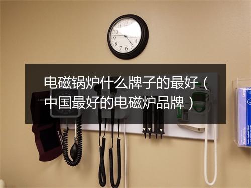 电磁锅炉什么牌子的最好(中国最好的电磁炉品牌)