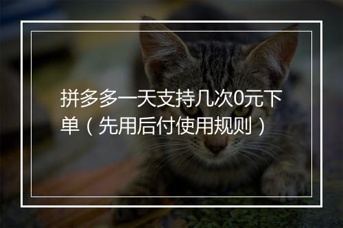 拼多多一天支持几次0元下单(先用后付使用规则)
