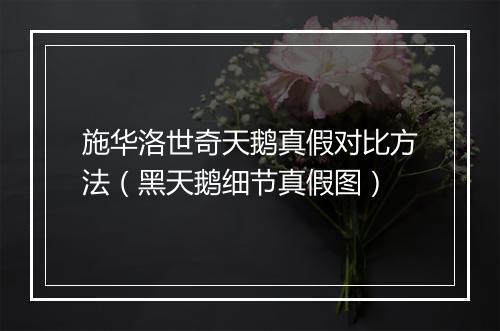 施华洛世奇天鹅真假对比方法(黑天鹅细节真假图)