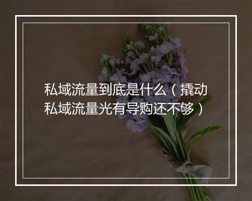 私域流量到底是什么(撬动私域流量光有导购还不够)