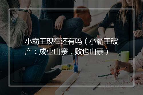 小霸王现在还有吗(小霸王破产:成业山寨,败也山寨)