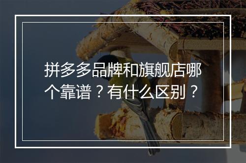 拼多多品牌和旗舰店哪个靠谱?有什么区别?