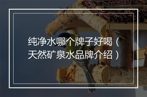 纯净水哪个牌子好喝(天然矿泉水品牌介绍)