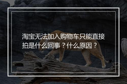 淘宝无法加入购物车只能直接拍是什么回事?什么原因?