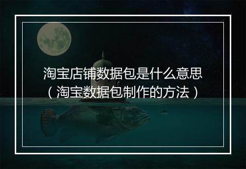 淘宝店铺数据包是什么意思(淘宝数据包制作的方法)
