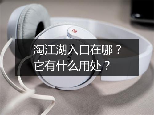 淘江湖入口在哪?它有什么用处?