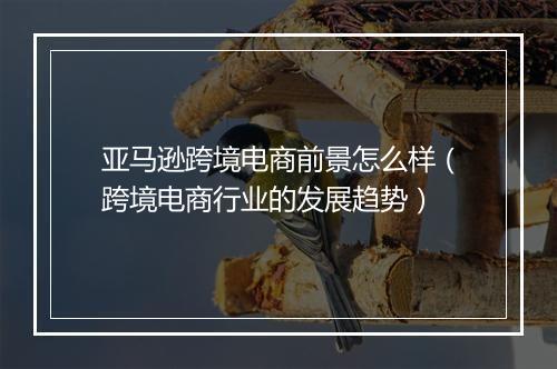 亚马逊跨境电商前景怎么样(跨境电商行业的发展趋势)