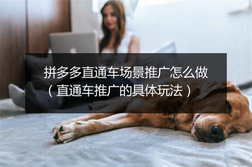 拼多多直通车场景推广怎么做(直通车推广的具体玩法)