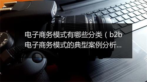 电子商务模式有哪些分类(b2b电子商务模式的典型案例分析)