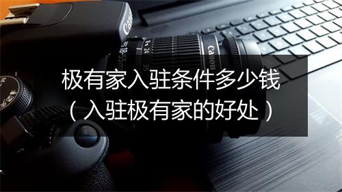 极有家入驻条件多少钱(入驻极有家的好处)
