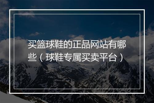买篮球鞋的正品网站有哪些(球鞋专属买卖平台)