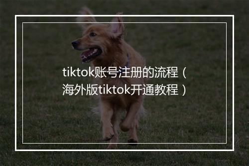 tiktok账号注册的流程(海外版tiktok开通教程)