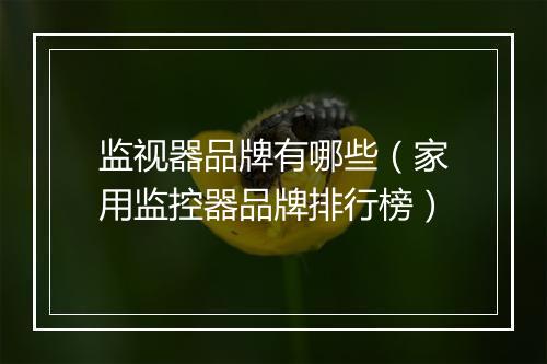 监视器品牌有哪些(家用监控器品牌排行榜)