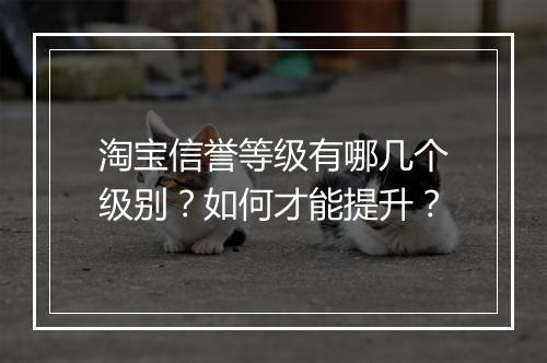 淘宝信誉等级有哪几个级别?如何才能提升?