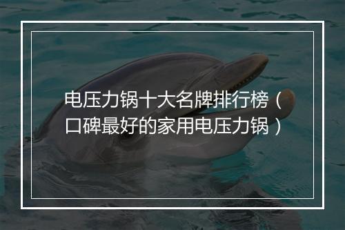 电压力锅十大名牌排行榜(口碑最好的家用电压力锅)