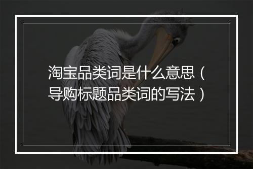 淘宝品类词是什么意思(导购标题品类词的写法)