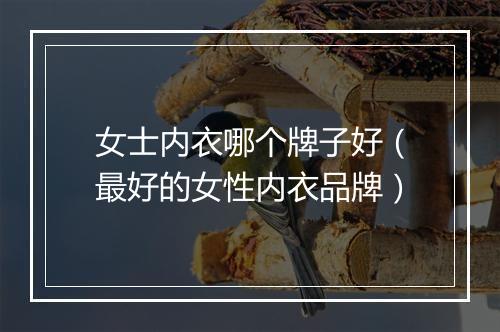 女士内衣哪个牌子好(最好的女性内衣品牌)