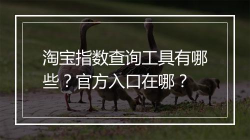 淘宝指数查询工具有哪些?官方入口在哪?