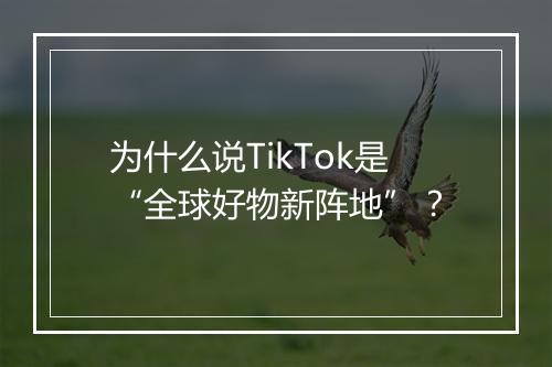 为什么说TikTok是“全球好物新阵地”?
