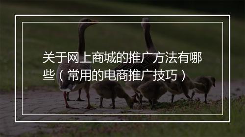 关于网上商城的推广方法有哪些(常用的电商推广技巧)