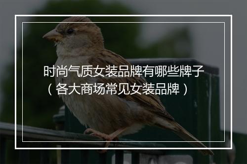 时尚气质女装品牌有哪些牌子(各大商场常见女装品牌)