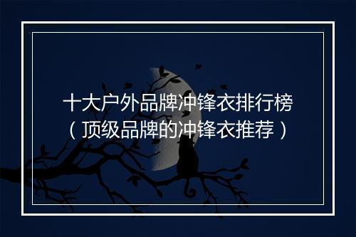 十大户外品牌冲锋衣排行榜(顶级品牌的冲锋衣推荐)