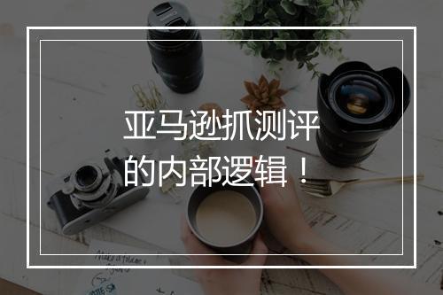 亚马逊抓测评的内部逻辑!
