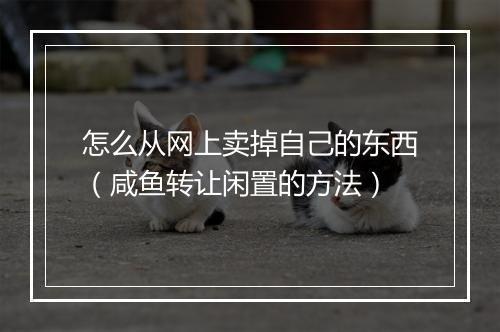 怎么从网上卖掉自己的东西(咸鱼转让闲置的方法)