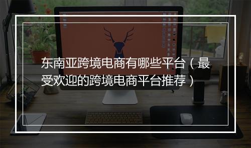 东南亚跨境电商有哪些平台(最受欢迎的跨境电商平台推荐)