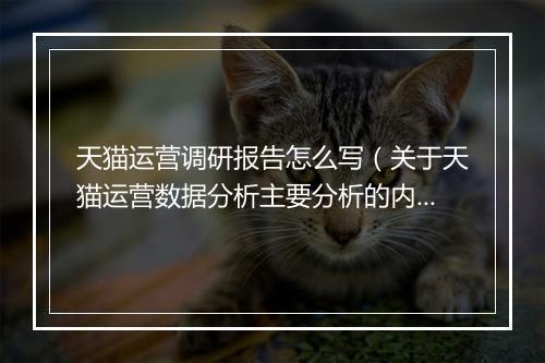 天猫运营调研报告怎么写(关于天猫运营数据分析主要分析的内容)