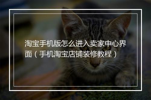 淘宝手机版怎么进入卖家中心界面(手机淘宝店铺装修教程)