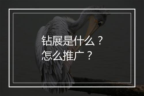钻展是什么?怎么推广?
