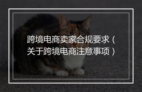 跨境电商卖家合规要求(关于跨境电商注意事项)