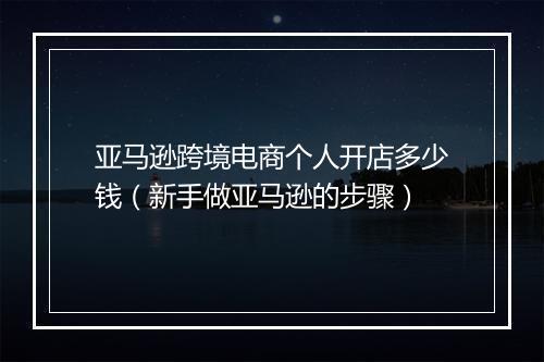亚马逊跨境电商个人开店多少钱(新手做亚马逊的步骤)