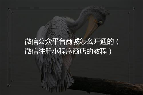 微信公众平台商城怎么开通的(微信注册小程序商店的教程)