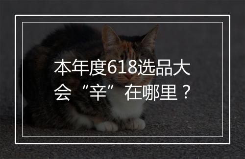 本年度618选品大会“辛”在哪里?