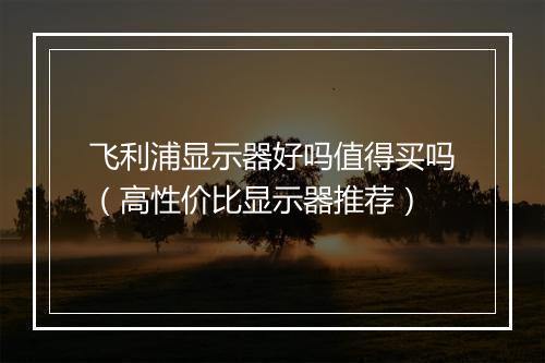 飞利浦显示器好吗值得买吗(高性价比显示器推荐)