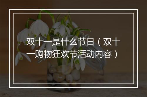 双十一是什么节日(双十一购物狂欢节活动内容)