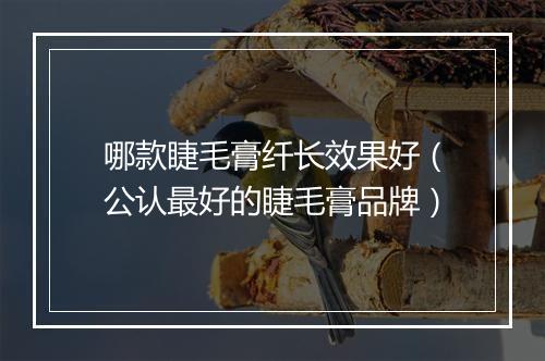 哪款睫毛膏纤长效果好(公认最好的睫毛膏品牌)