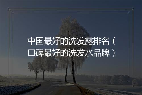中国最好的洗发露排名(口碑最好的洗发水品牌)
