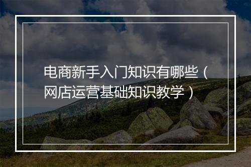 电商新手入门知识有哪些(网店运营基础知识教学)