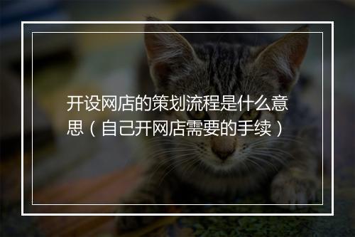 开设网店的策划流程是什么意思(自己开网店需要的手续)