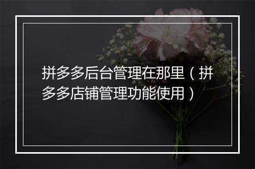拼多多后台管理在那里(拼多多店铺管理功能使用)
