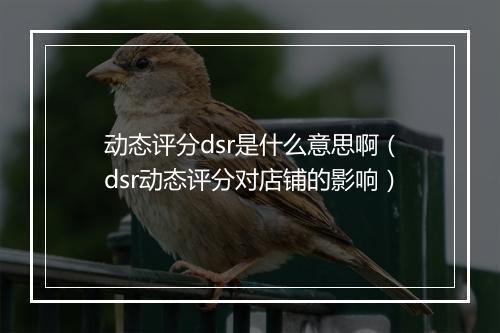 动态评分dsr是什么意思啊(dsr动态评分对店铺的影响)