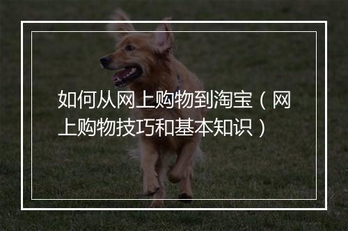 如何从网上购物到淘宝(网上购物技巧和基本知识)